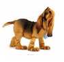 http://t3.gstatic.com/images?q=tbn:ABfPtLa4jWX1fM:http://www.jewelsandtreasures.com/catalog/images/AB05216_BloodhoundPuppt.jpg